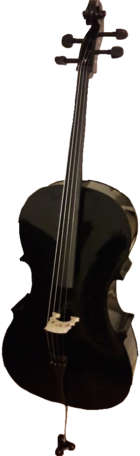 A black cello